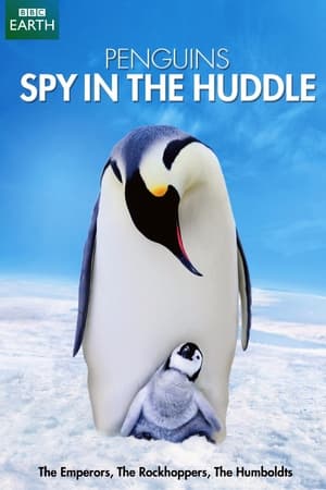 Image Penguins: Spy in the Huddle