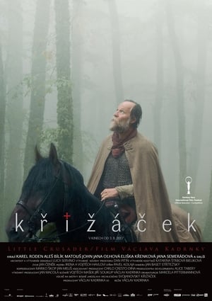 Poster Křižáček 2017