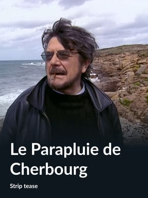 Le parapluie de Cherbourg poster