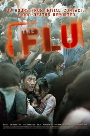 Poster The Flu 2013