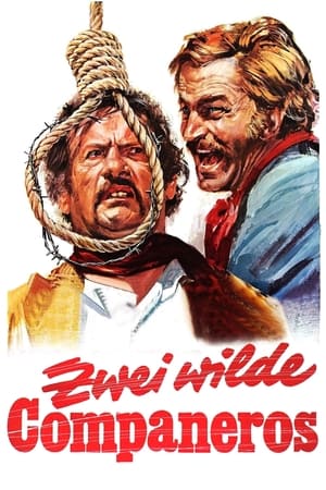 Poster Zwei wilde Companeros 1971