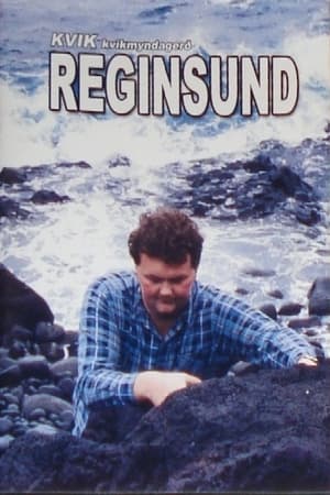 Regin-sund