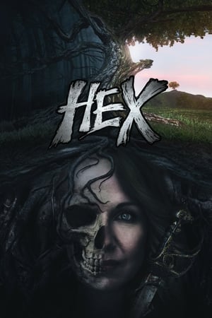 Poster Hex 2017