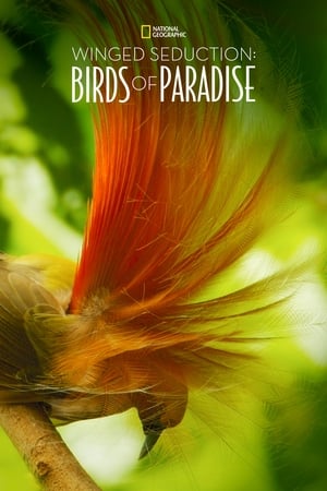 Assistir Winged Seduction: Birds of Paradise Online Grátis