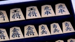 Journeys in Japan: 12×22