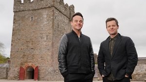 Ant & Dec’s DNA Journey