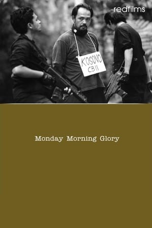 Image Monday Morning Glory