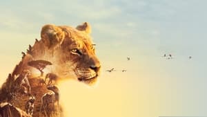 poster Serengeti