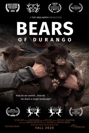 Poster Bears of Durango (2018)