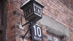 Made in Auschwitz: The Untold Story of Block 10