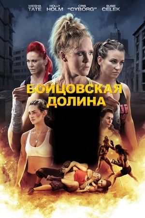 Бойцовская долина (2016)