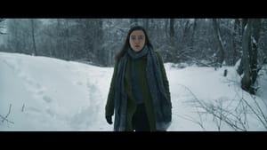 Kar ve Ayı (ödüllü film)