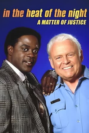 Poster In the Heat of the Night: A Matter of Justice 1994
