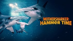 Mothersharker: Hammer Time | StreamHub