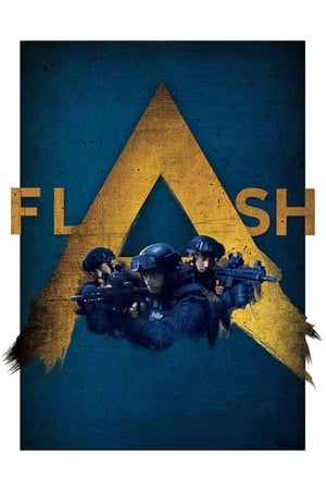 Poster Flash 2020