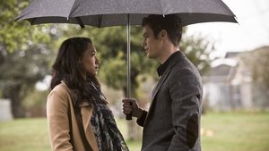 The Flash 2×21