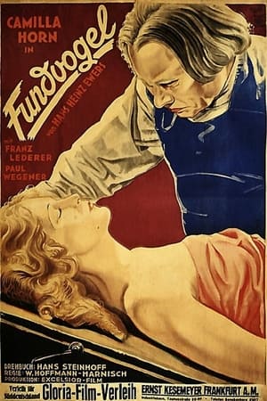 Poster Fundvogel (1930)