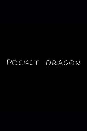 Poster Pocket Dragon 2019