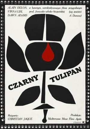Poster Czarny tulipan 1964