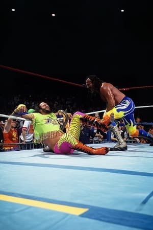 Image WWE Rivals: Jake "The Snake" Roberts vs. "Macho Man" Randy Savage