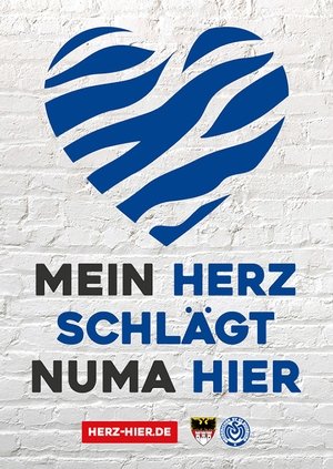 Image MSV – Mein Herz schlägt numa hier