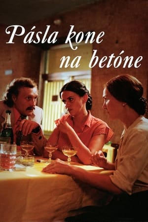 Poster Pásla kone na betóne 1983