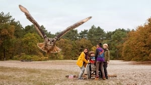 Owls & Mice film complet