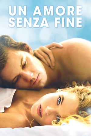 Poster Un amore senza fine 2014