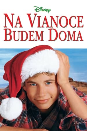 Poster Na Vianoce budem doma 1998