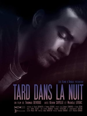 Poster Late at Night (2016)
