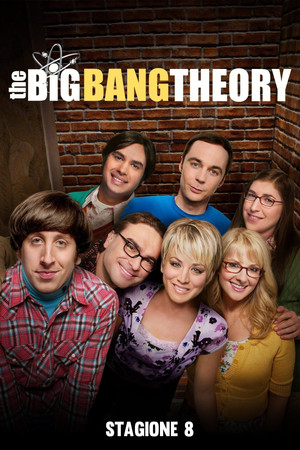 The Big Bang Theory: Stagione 8
