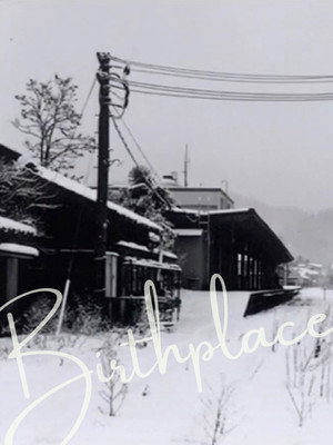 Birthplace 24