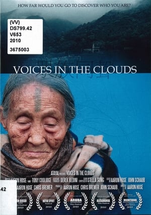 Poster Voices in the Clouds (2010)