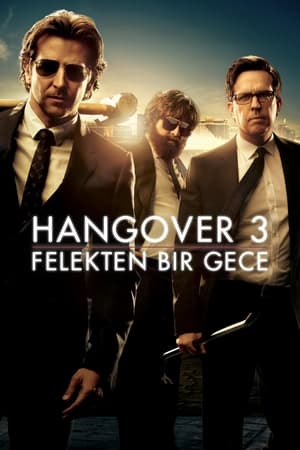 Felekten Bir Gece 3 (2013)