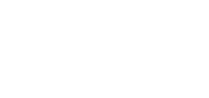 Bingo y Rolly — Logos 3