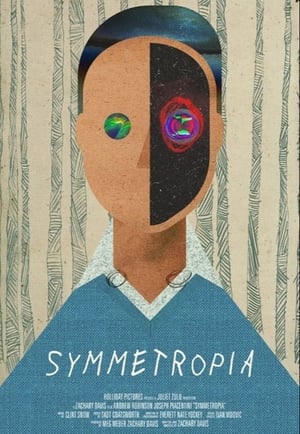 Poster Symmetropia 2017