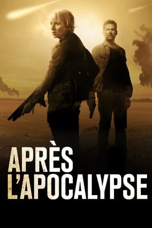 Poster Aftermath Saison 1 Tempête solaire 2016