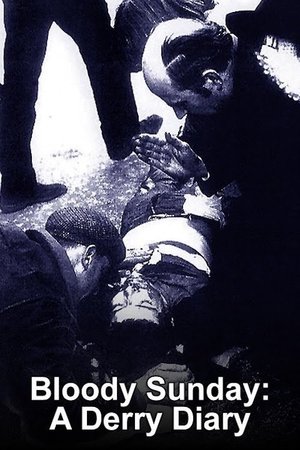 Image Bloody Sunday: A Derry Diary