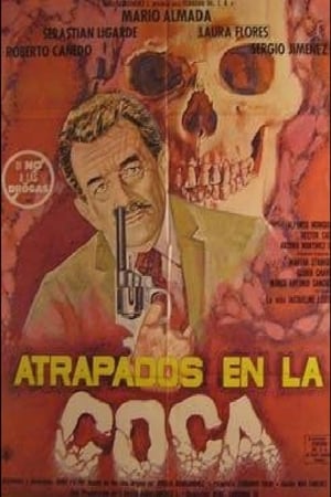 Poster Atrapados en la coca (1990)