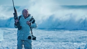 Fortitude 1×1