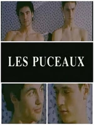 Poster di Les Puceaux