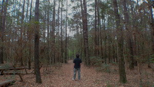 Where the Pine Cones Lie 5