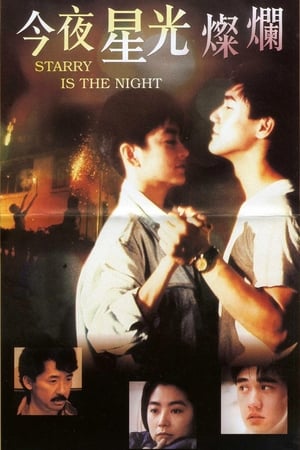 Poster 今夜星光燦爛 1988