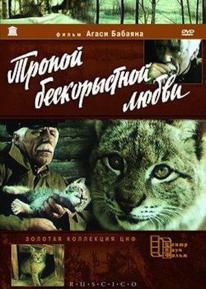 The Lynx' Adventures