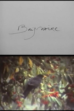 Baignoire 2