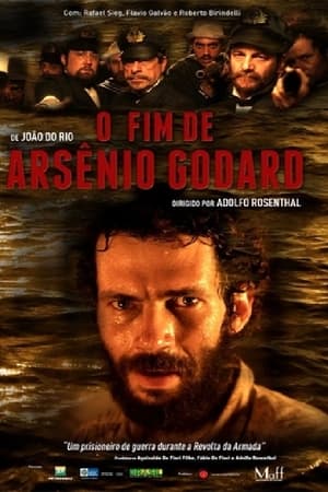 Poster O Fim de Arsênio Godard 2013