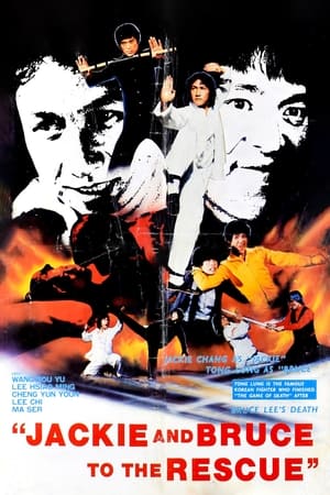 Poster Jacky et Bruce défient le Maître du Karaté 1982