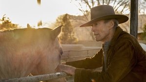 Cry Macho Review: Is a Strictly Average Clint Eastwood Film