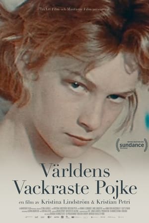 Poster L'ange blond de Visconti 2021