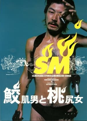 Poster 鮫肌男と桃尻女 1998